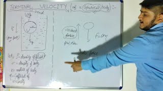 terminal velocity easiest explanation 🙂 class 11 in hindi [upl. by Taveda846]