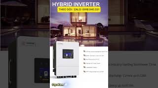 Phiên Bản IP65 Hybrid Lumentree Sắp Ra Mắt Tháng Này Cùng Chào Đón [upl. by Negiam]