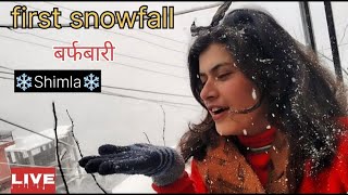 shimla live snowfall  Finally snow fall ho gaya शिमला बर्फबारी snow adventure [upl. by Nodnas]