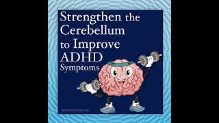 Strengthen the Cerebellum to Improve ADHD Symptoms [upl. by Rtoip264]