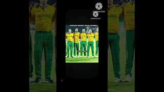 cricket video [upl. by Nykal]