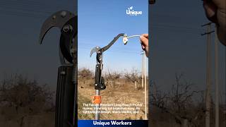 Falcon premium long reach pruner  The workers do their job perfectly  machine shorts [upl. by Heyward]