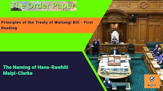 The naming of HanaRawhiti MaipiClarke on the Principles of the Treaty of Waitangi Bill [upl. by Nudd]