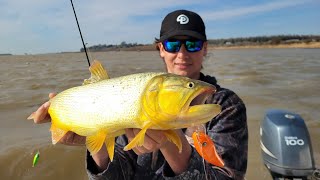 DORADOS CON SEÑUELOS😱🐟 RAMALLO❄ [upl. by Teador]