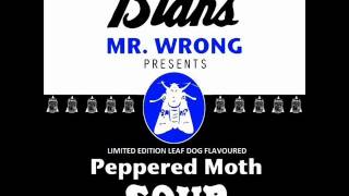 Lee Scott  Peppered Moth Soup Leaf Dog Remix Exclusive [upl. by Ahsyekal315]