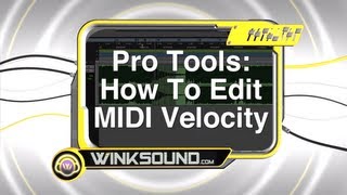 Pro Tools How To Edit MIDI Velocity  WinkSound [upl. by Repohtsirhc857]