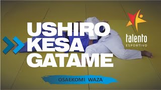 Judô  OSAEKOMI  Ushiro Kesa Gatame [upl. by Lukas]