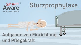 Sturzprophylaxe Aufgaben von Einrichtung und Pflegekraft  Expertenstandards Pflege [upl. by Amorita]