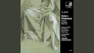 OsterOratorium BWV 249 1 Sinfonia [upl. by Tterrag784]