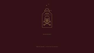 Trivium  The Revanchist Official Audio [upl. by Netsrak]