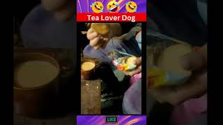 Dog Not Eating Bisuits Without Tea 😂 [upl. by Eimareg]