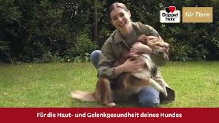 Doppelherz für Tiere  Doppelherz Ergänzungsfuttermittel für Hunde Immer in Action [upl. by Aiselad]