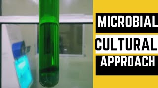 Microbial Evaluation USP chapter 1231Classical Cultural Approach [upl. by Sanford692]