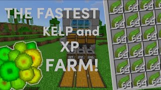 THE FASTEST KELP and XP FARM  120 Minecraft Bedrock Edition MCPEXboxPSMCBEPC [upl. by Annahaj145]