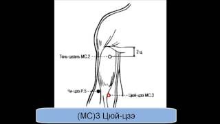 MC3 Цюйцзэ [upl. by Reeher]