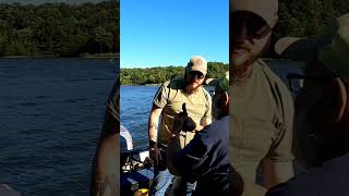 GOOD GUESS CATFISH catfish catfishing trending viral shortsvideo shorts trendingshorts fish [upl. by Shiroma]