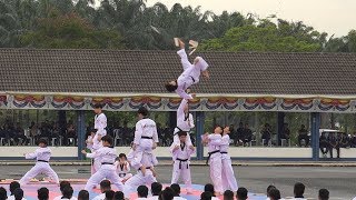 Kukkiwon Taekwondo Demonstration Team at Kem Batalion 4 PGA Semenyih Malaysia [upl. by Kilar]