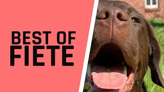 Best of Fiete  Udo und Wilke [upl. by Jen780]