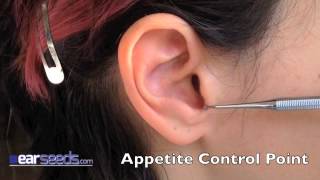 Appetite Control  Hunger Point Auriculotherapy Point [upl. by Repip]