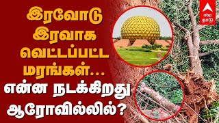 இரவோடு இரவாக வெட்டப்பட்ட மரங்கள்என்ன நடக்கிறது ஆரோவில்லில் Auroville City  Pondicherry  RN Ravi [upl. by Nathanoj381]