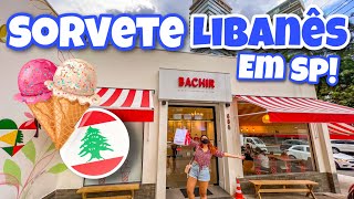 SORVETERIA MAIS FAMOSA DE SP SORVETES BACHIR [upl. by Rihat]