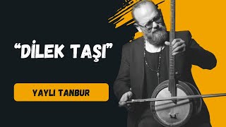 Dilek Taşı  Yaylı Tanbur  Ömer Göktepeliler [upl. by Adnilam]