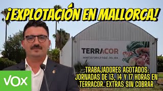 ¡Inhumano Jornadas Extenuantes de 17 Horas en la Empresa de Toni Gili 1 [upl. by Beller217]