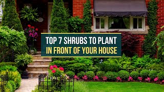 TOP 7 SHRUBS TO PLANT IN FRONT OF YOUR HOUSE ✅ [upl. by Wilhide]