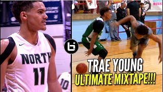 Trae Young Is Going To Destroy in College Ultimate Mixtape [upl. by Rennob]