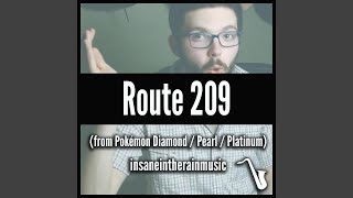 Route 209 [upl. by Johiah]