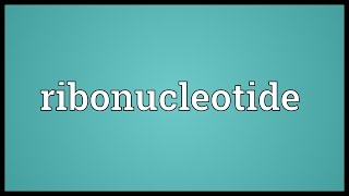 Ribonucleotide Meaning [upl. by Oiramed]