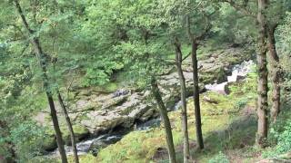 Bolton Abbey in the Yorkshire Dales [upl. by Yemirej727]