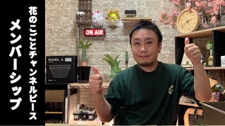 【メンバーシップ】登録のやり方！スマホからでも簡単に出来るように設定しました😁コアなファン必見！ [upl. by Manvell]