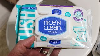 Quick Review Nice N Clean Wipes  Really Flushable [upl. by Crist]