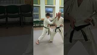 Nijushiho kata effective bunkai nr10 shorts [upl. by Belding]