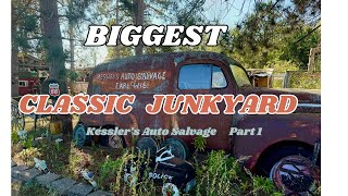 BIGGEST Untapped Classic Junkyard Ive Seen Yet [upl. by Lecroy846]