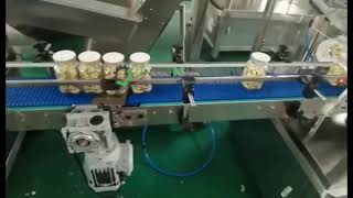 Chrysanthemum tea filling machine sealing machine capping machineFloc filling machine [upl. by Anoyek9]