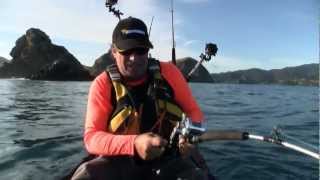 How to catch kingfish jigging from a kayak [upl. by Helyn]