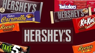 Products of Hershey Company  List of Brands Hershey owns  Hersheyland [upl. by Marys]