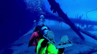 Bonaire  Scuba Diving  Hilma Hooker and 18 Palm  4k [upl. by Kessel]