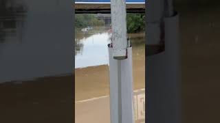 Alluvione in EmiliaRomagna situazione critica a Borgo Panigale [upl. by Ainyt378]