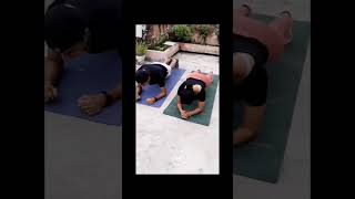 plank plankdaily burnfat metabolism motivation bellyfat fatloss stomachworkout absworkout [upl. by Sherye715]