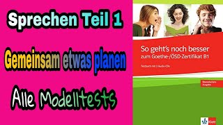 Goethe Zertifikat B1  Gemeinsam etwas Planen 100 mündlich bestehen  So gehts noch besser B1 [upl. by Eemia]