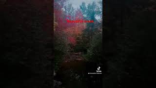 Beautiful creek in Moncton fypシ゚viral [upl. by Adnopoz]