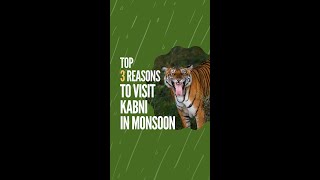 Why is Kabini a great place to visit in the monsoon [upl. by Pirri]