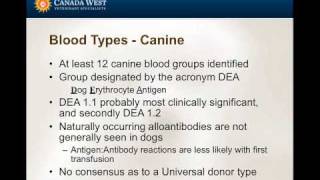 Transfusion Medicine for the AHT  part 1 [upl. by Germaine]