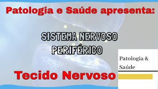 Tecido Nervoso Histologia do Sistema Nervoso Periférico [upl. by Sedinoel817]