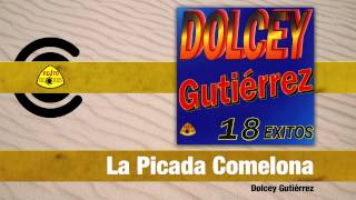 Dolcey Gutiérrez  La Picada Comelona Audio  Felito Records [upl. by Naamana]