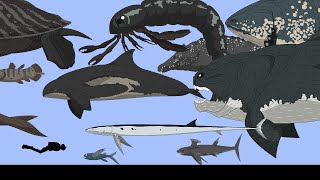 Size Comparison Prehistoric sea monstersAnimated [upl. by Akeimahs]