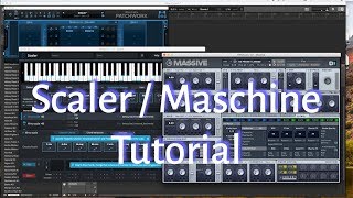 Scaler Massive Tutorial  How to Use Scaler in Maschine with Blue Cats Patchwork 1 [upl. by Esinehc548]